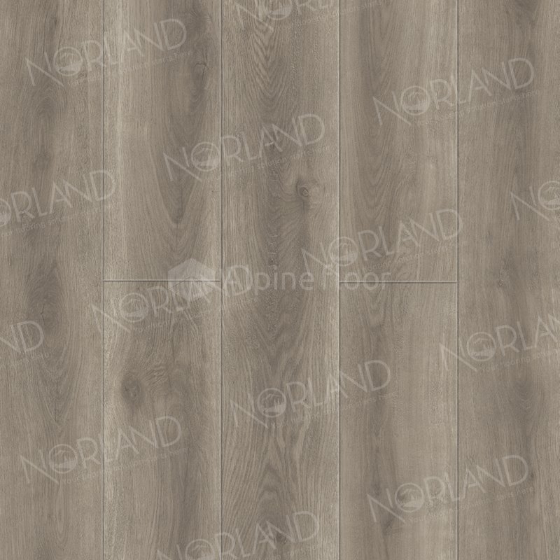 SPC Ламинат "Norland" Templet (1220*196*8 мм) — купить в Нерюнгри